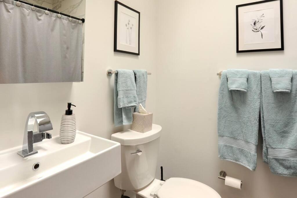 וושינגטון Cherry Blossom Townhouse, Easy Dc Access מראה חיצוני תמונה